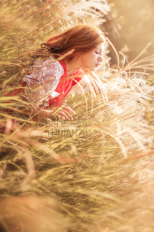 清明节的感想作文